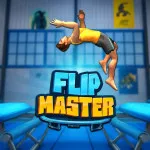 Play Flip Master